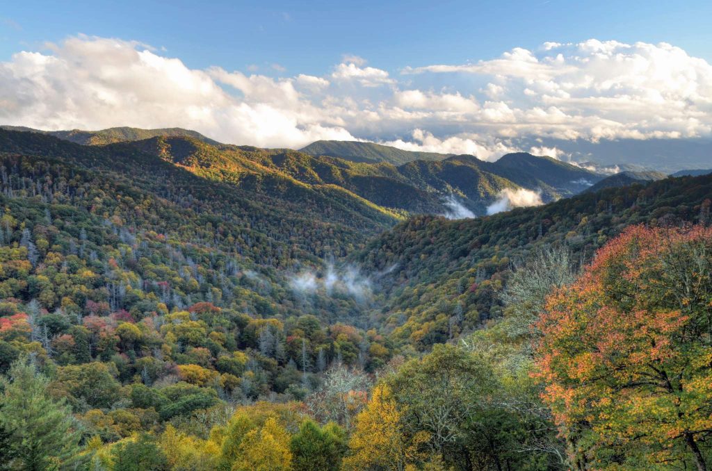 A sweeping view from Newfound Gap Road